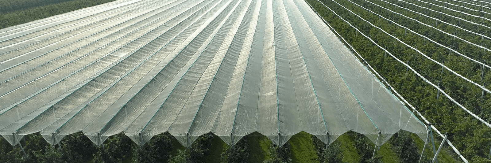 AGRAHEX Agricultural Greenhouse Woven Film Made of HDPE woven fabric farms -agrahex.com