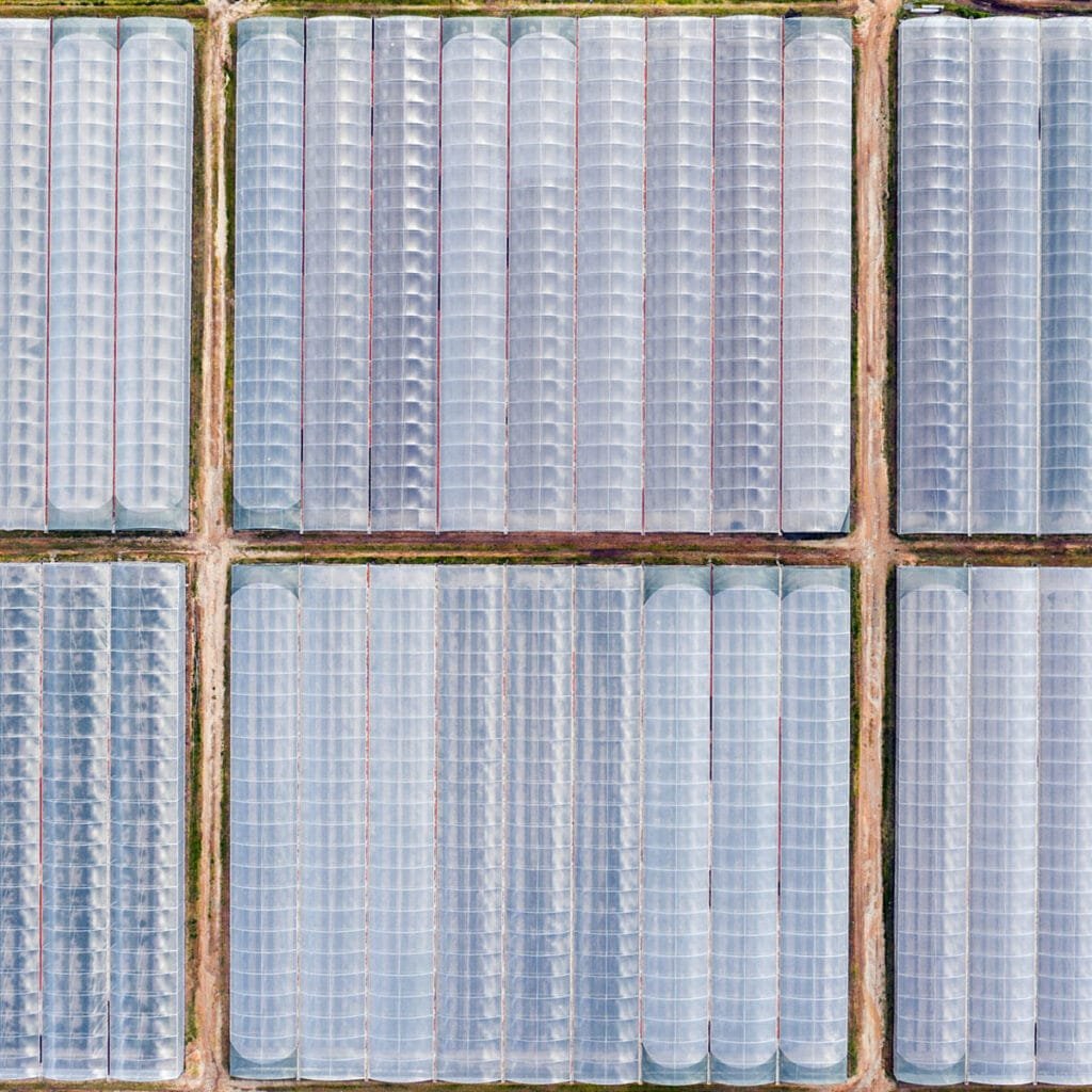 AgraHex Agricultural PE Greenhouse Polythene Plastic Cover Film product Product application scenarios Greenhouse Farm image - agrahex.com