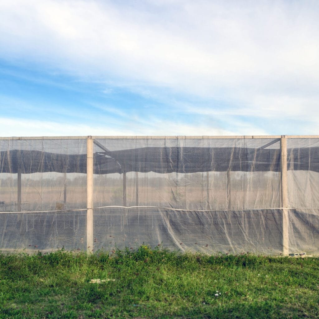 AgraHek Agricultural Anti Insect Netting Product application scenarios Greenhouse Farms Image -agrahex.com