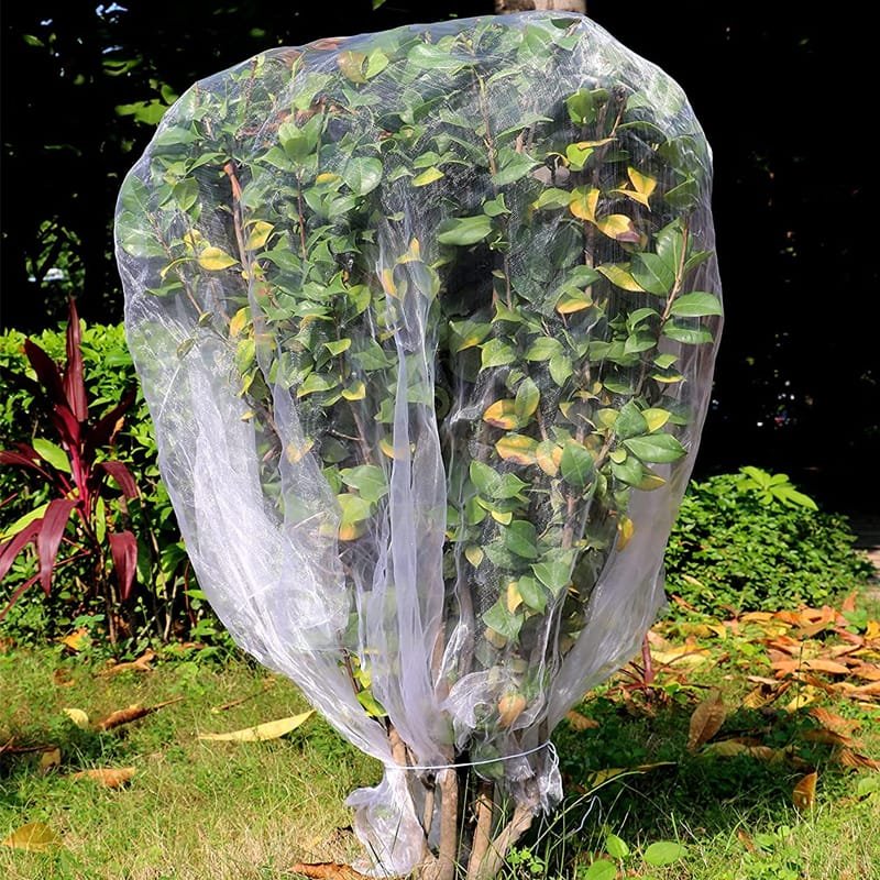 AgraHex Agricultural Insect Net Cover Product application scenarios Graden Image- agrahex.com