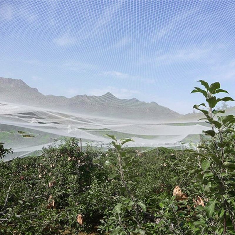 AgraHex Agricultural Anti Hail Net Product application scenarios Large farms image - agrahex.com