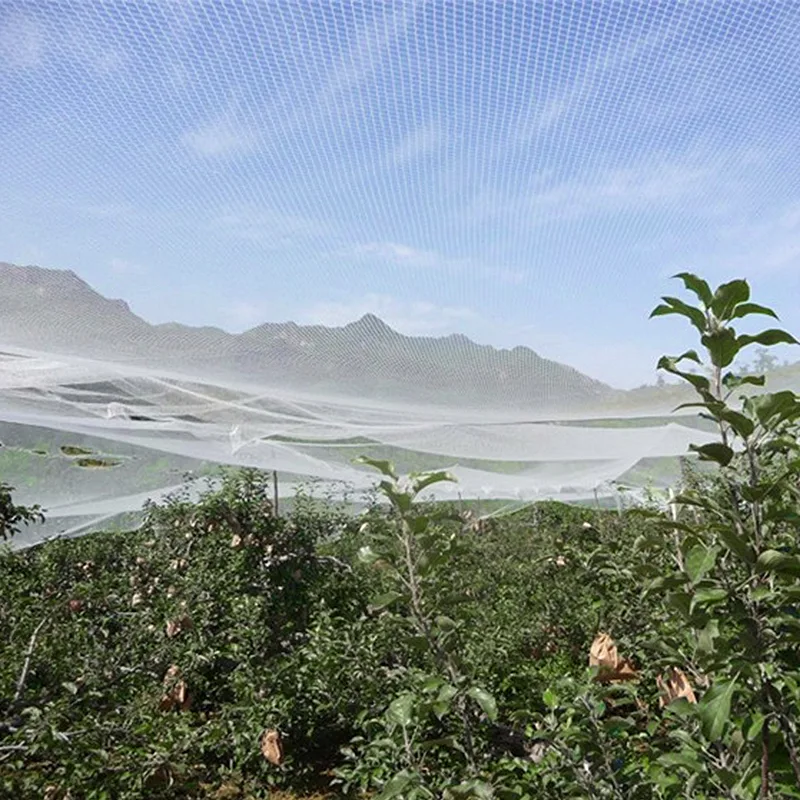 AgraHex Agricultural Anti Hail Net Product application scenarios Large farms image - agrahex.com