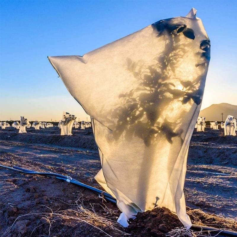 AgraHek Plant Cover Bags Product application scenarios Large farms Image - agrahex.com