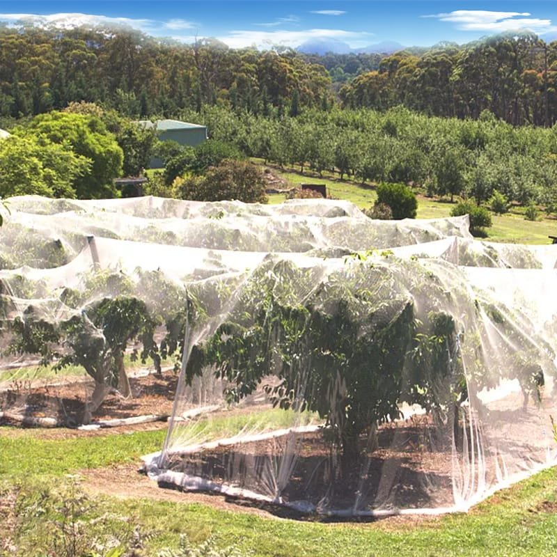 AgraHex Agricultural Insect Net Cover Product application scenarios Large Apple orchards farms Image- agrahex.com