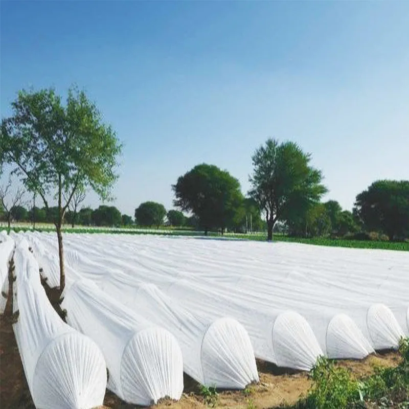 AgraHex Non-woven Row Cover Product Application Scenarios Vegetable Greenhouse Planting Farm Image - agrahex.com