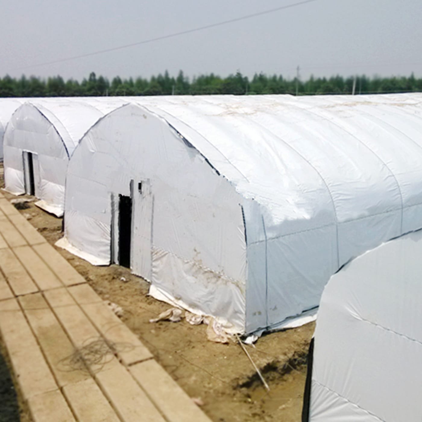 AGRAHEX® Agricultural Film Woven Greenhouse Film Blackout Greenhouse Film - agrahex.com