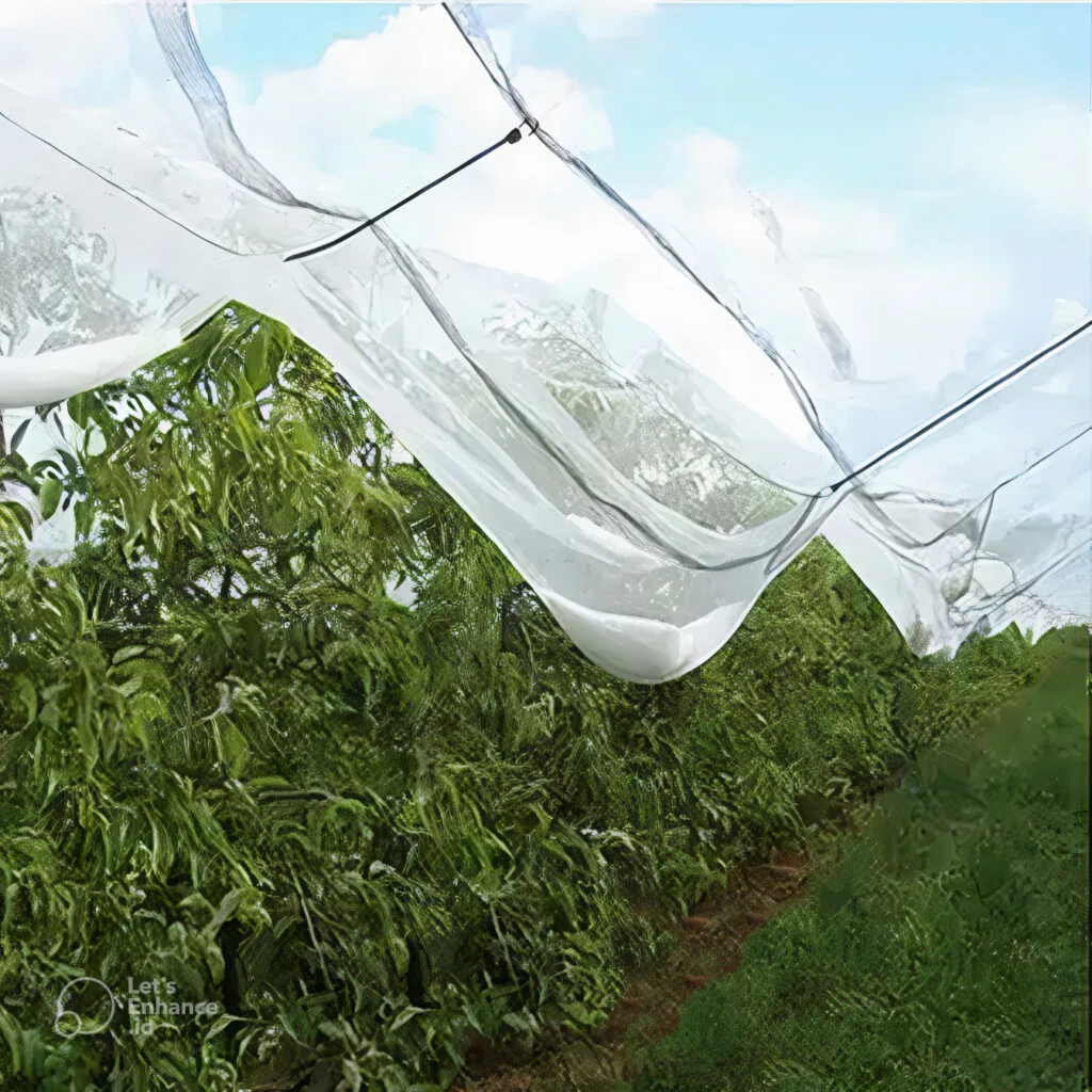 AgraHex Agricultural Anti Hail Net Product application scenarios Orchard farms image - agrahex.com