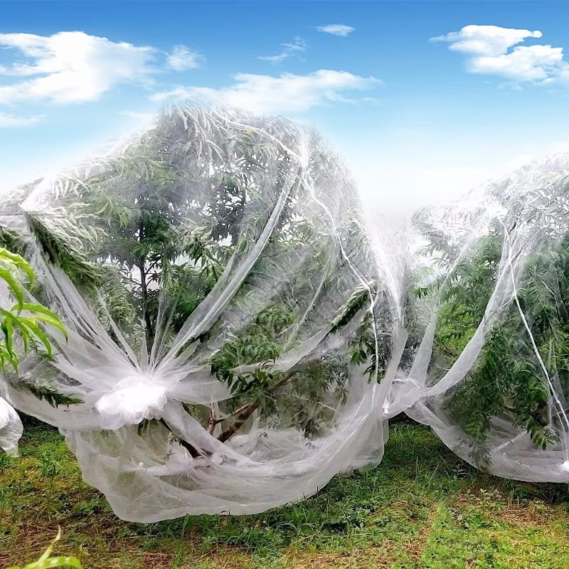 AgraHex Agricultural Insect Net Cover Product application scenarios Large Peach orchards farms Image- agrahex.com
