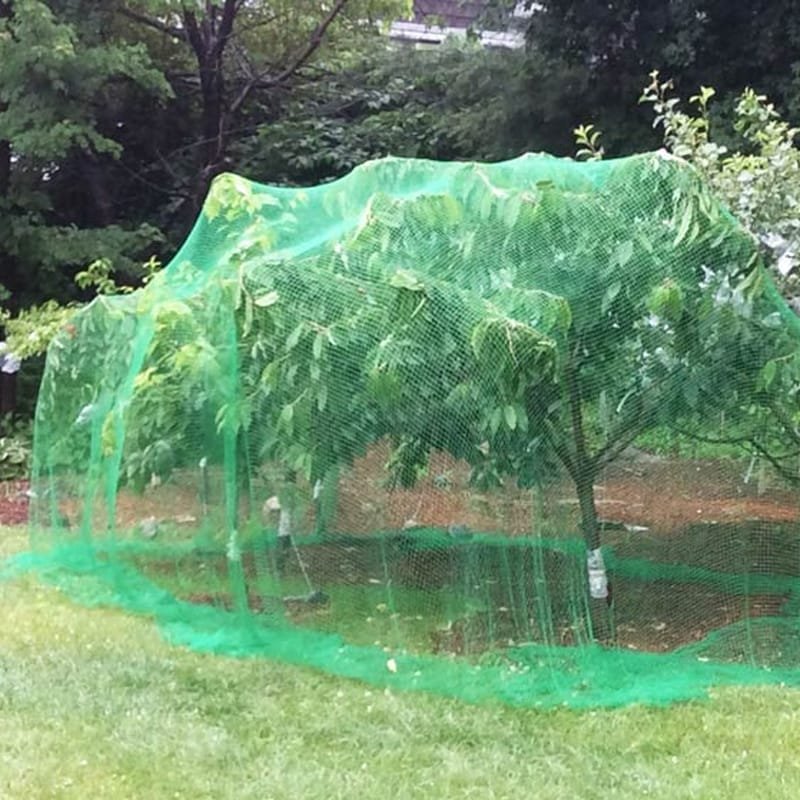 AgraHex Agricultural Insect Net Cover Product application scenarios Graden Orchard farms Image- agrahex.com