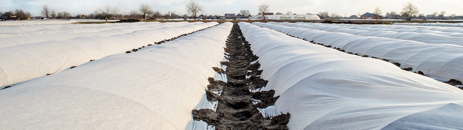 Factory Direct Agricultural Non-woven Fabric - agrahex.com