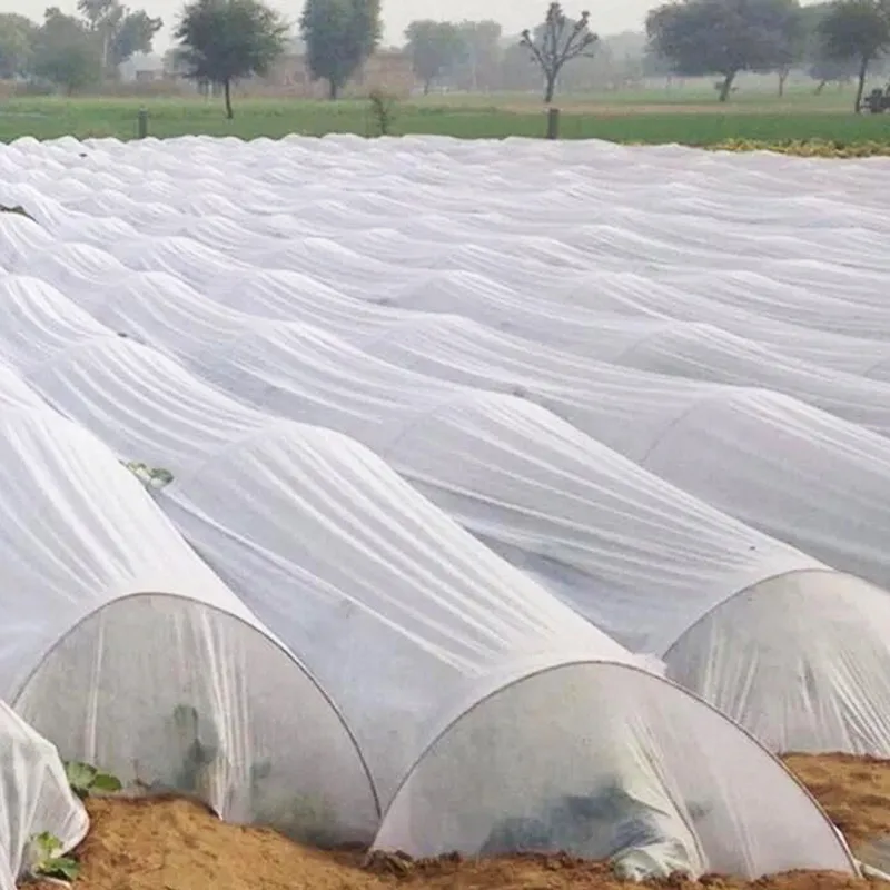 AgraHex Non-woven Row Cover Product Application Scenarios Large Farms Greenhouse Image - agrahex.com