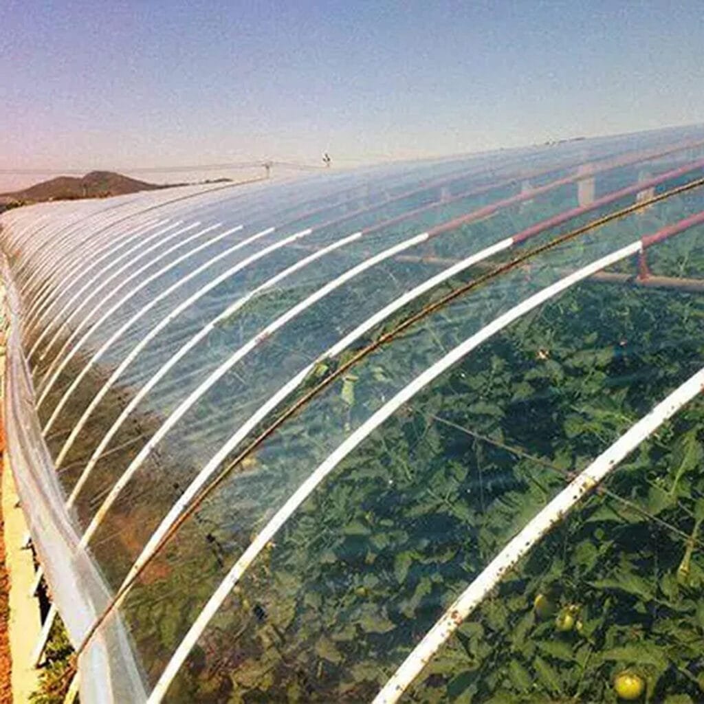 AGRAHEX® Agricultural Clear Greenhouse PO Plastic Film Product application scenario Greenhouse Film Image 2 - agrahex.com