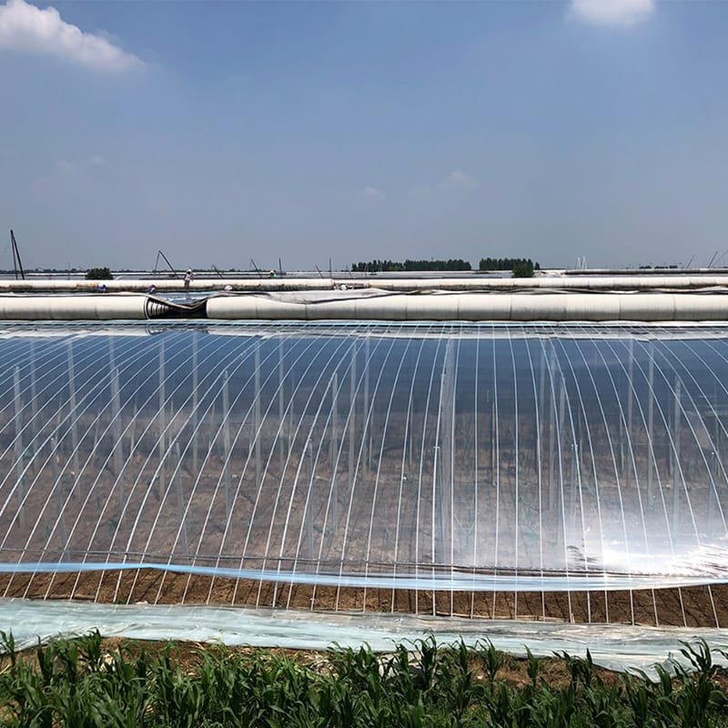 AGRAHEX® Agricultural Clear Greenhouse PO Plastic Film Product application scenario Large Greenhouse Film Image - agrahex.com