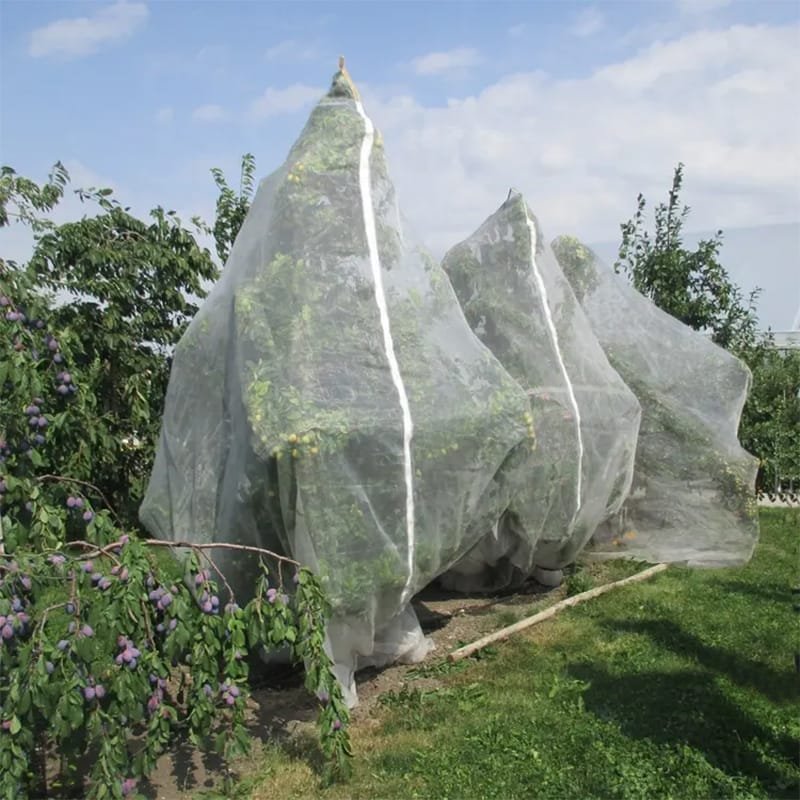 AgraHex Agricultural Insect Net Cover Product application scenarios Large Olive orchards farms Image- agrahex.com