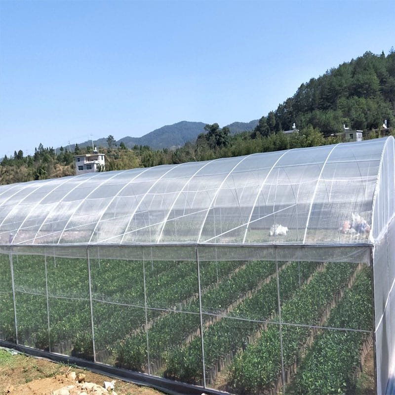 AgraHek Agricultural Anti Insect Netting Product application scenarios Large Greenhouse Farms Image -agrahex.com