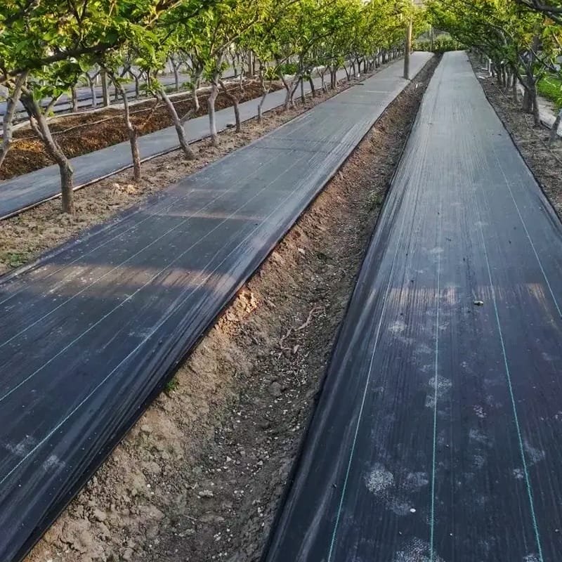 AgraHex Agriculture Woven Anti Weed Barrier Fabric Product Application Scenarios SVineyards image - agrahex.com