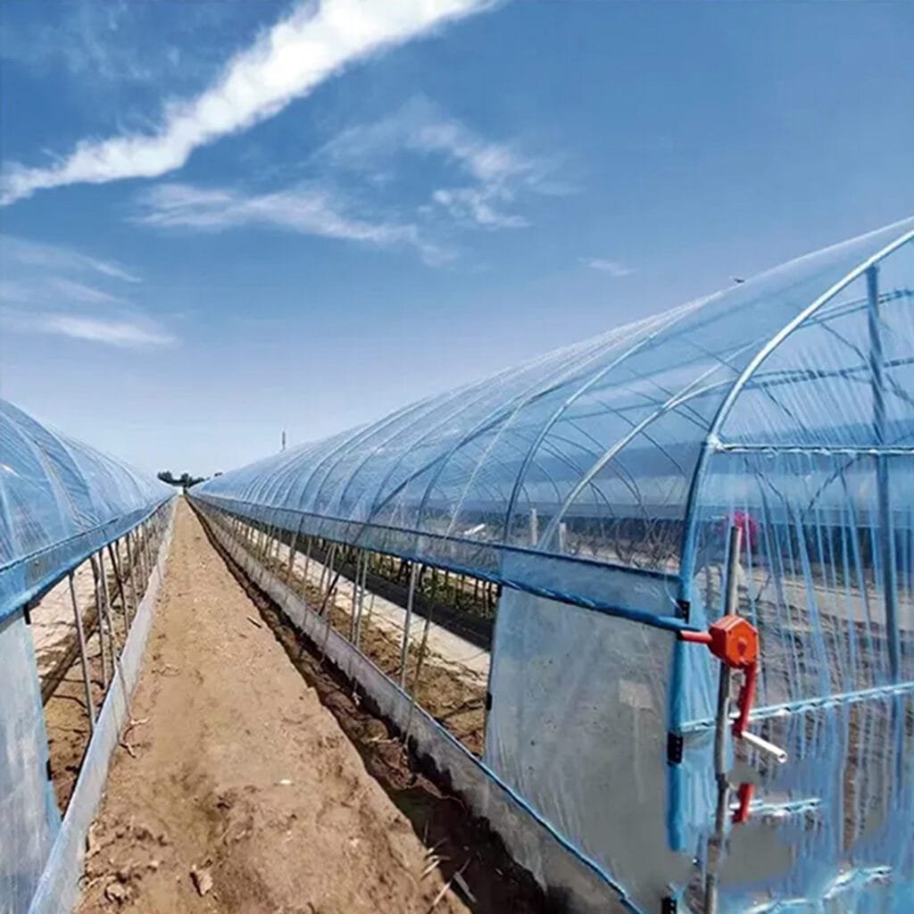 AGRAHEX® Agricultural Clear Greenhouse PO Plastic Film Product application scenario Large Greenhouse Fruit and vegetable planting farm Image 2 - agrahex.com
