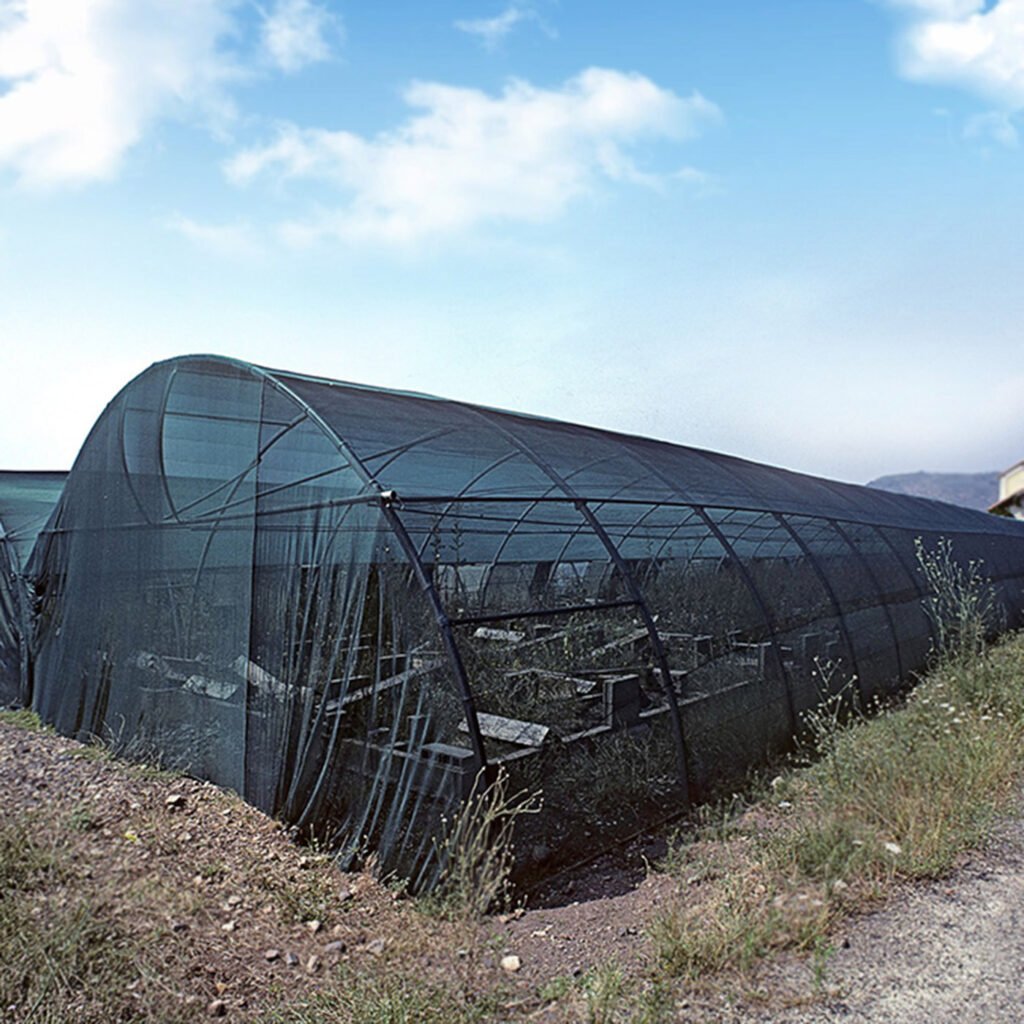 AgraHek Mono Type Shade Net Product application scenarios Greenhouse Image - agrahex.com