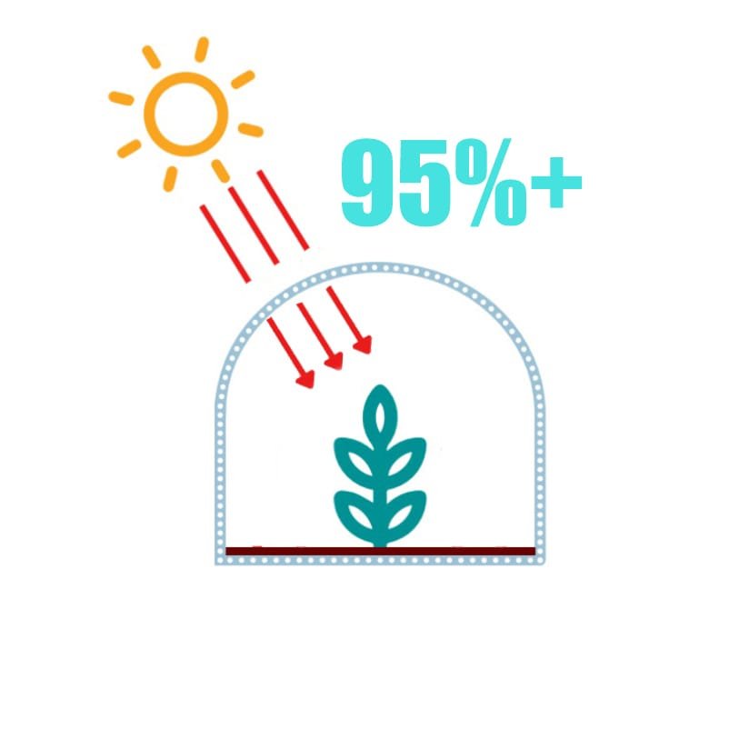 AGRAHEX® Agricultural Clear Greenhouse PO Plastic Film 95%+ Light Transmission - agrahex.com