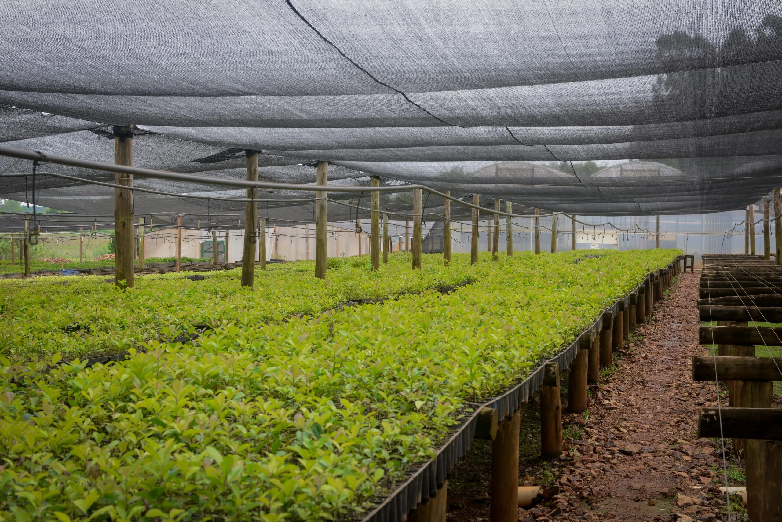 Factory Manufacturing Direct Sales Agricultural Sun Shade Net - agrahex.com