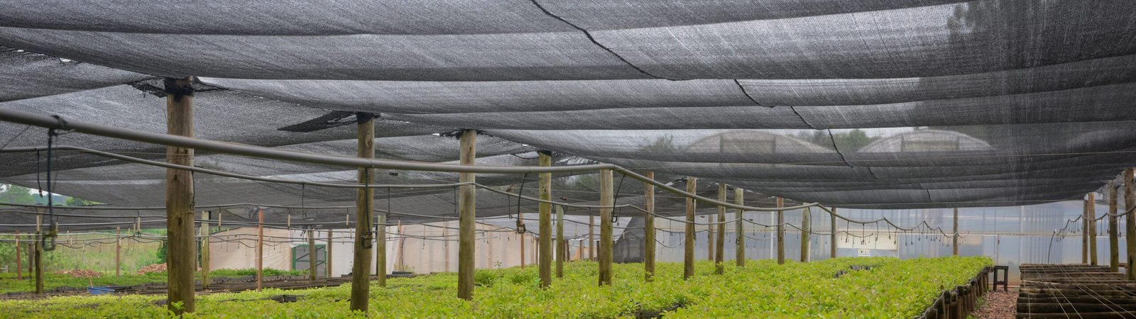 Factory direct agricultural Sun Shade Net - agrahex.com