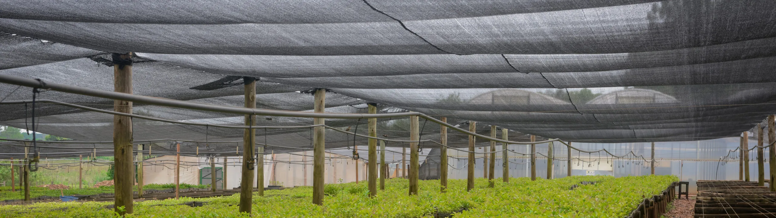Factory direct agricultural Sun Shade Net - agrahex.com