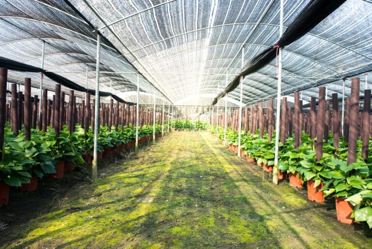 Read more about the article Choosing the Right Shade Cloth: Tape Knit, Mono Knit, and Woven Options