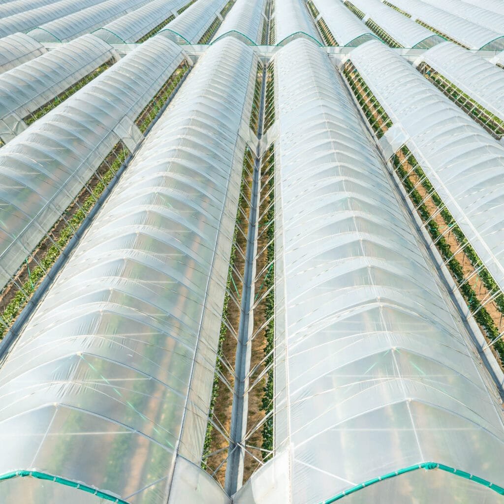 AgraHex Agricultural PE Greenhouse Polythene Plastic Cover Film product Large Greenhouse Farms Application Scenarios image - agrahex.com