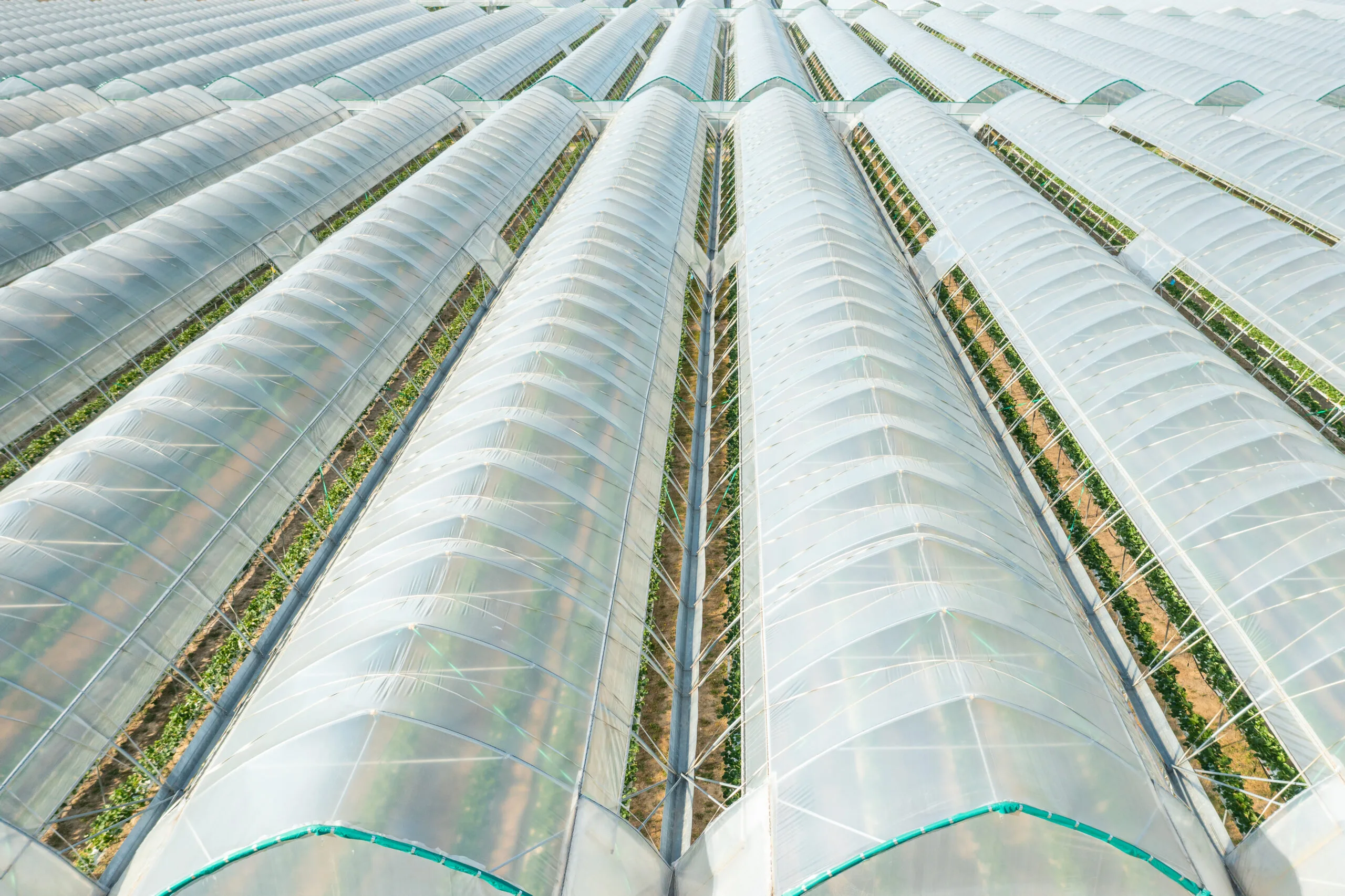 Factory Manufacturing Direct Sales Agricultural Greenhouse Film - agrahex.com