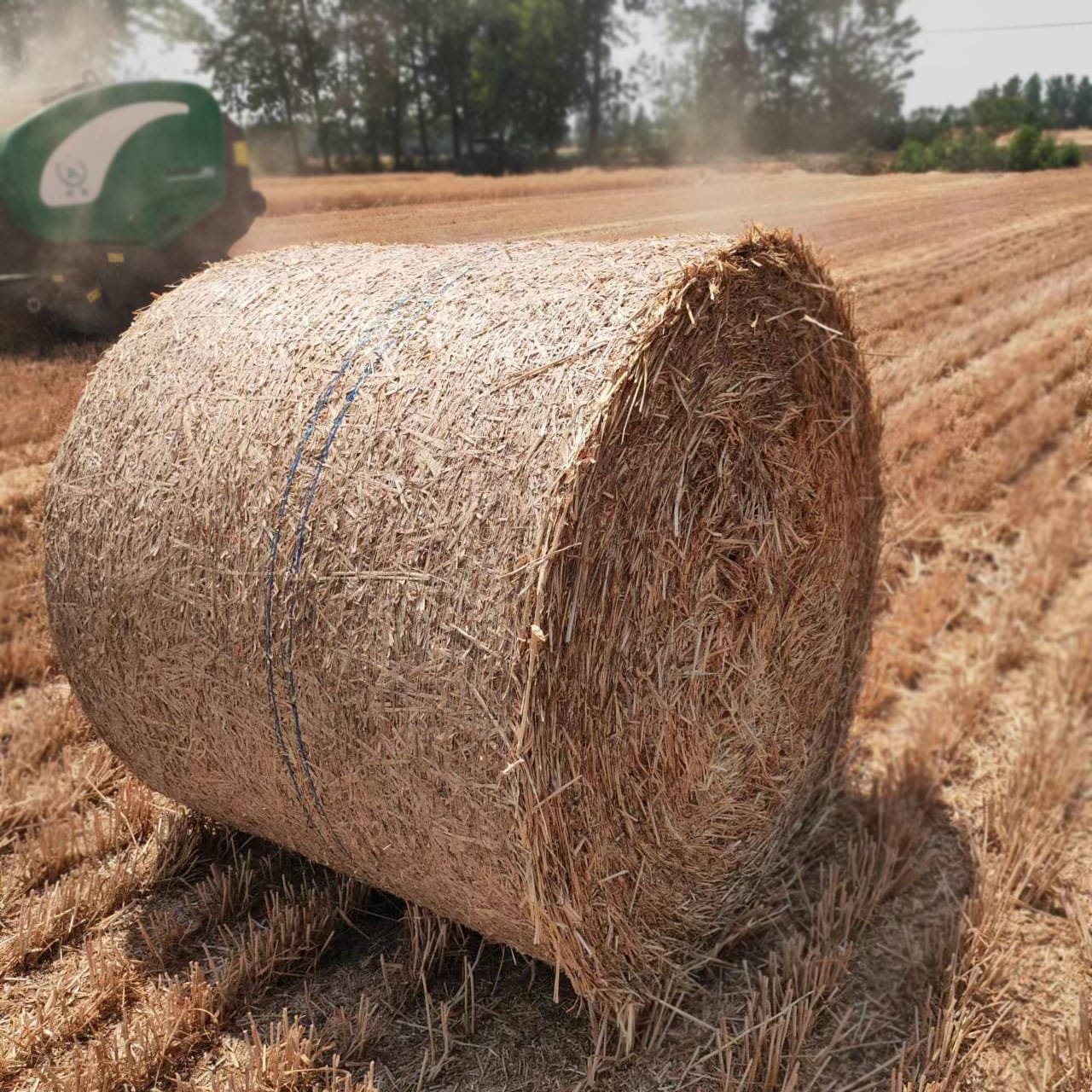 AgraHex Agricultural Hay Net Wrap Product Application Scenarios Large Wheat Planting Farms Image - agrahex.com