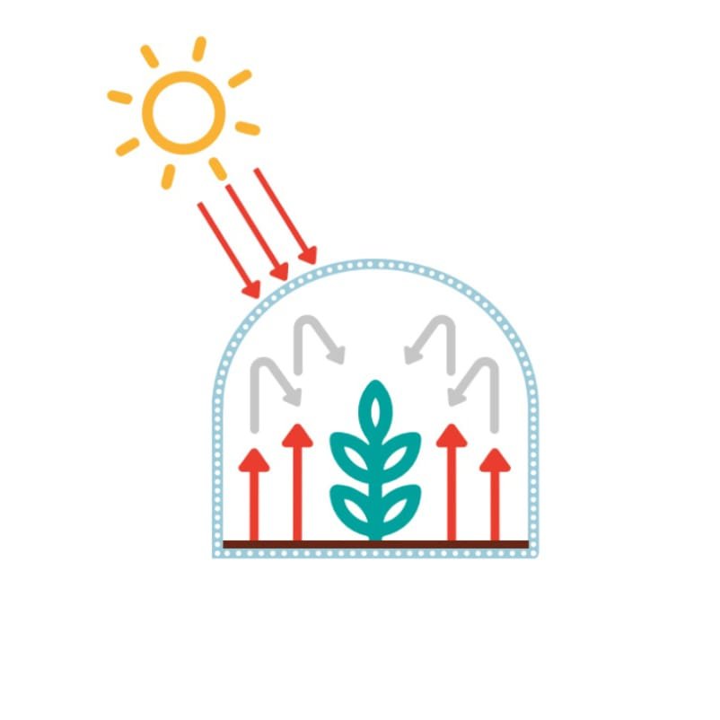 AGRAHEX® Agricultural Clear Greenhouse PO Plastic Film The thermic Effect - agrahex.com