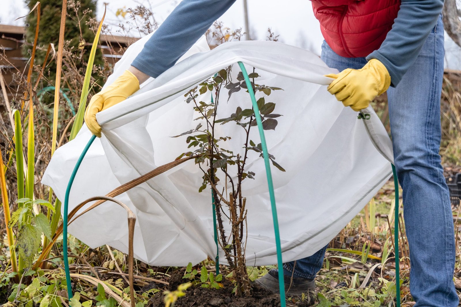 AgraHek Plant Cover Bags Product application scenarios Graden farms Image - agrahex.com