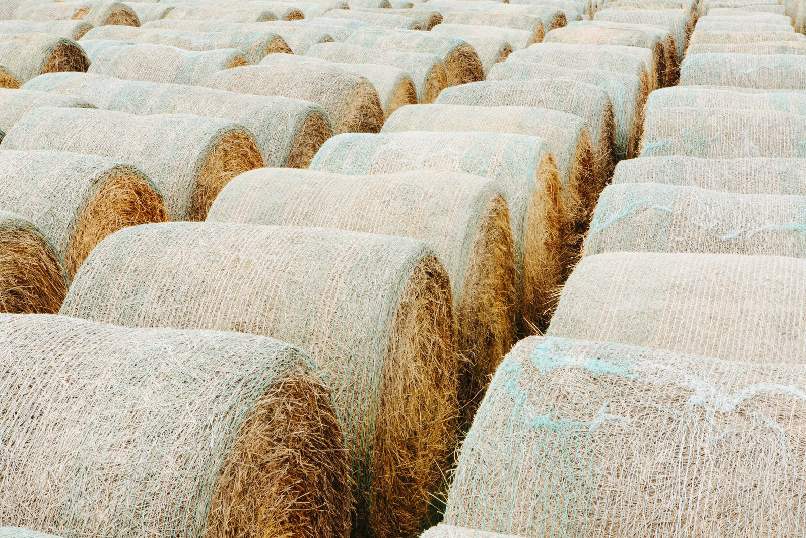 AgraHex Agricultural Hay Net Wrap Product Application Scenarios Large Farms Image - agrahex.com