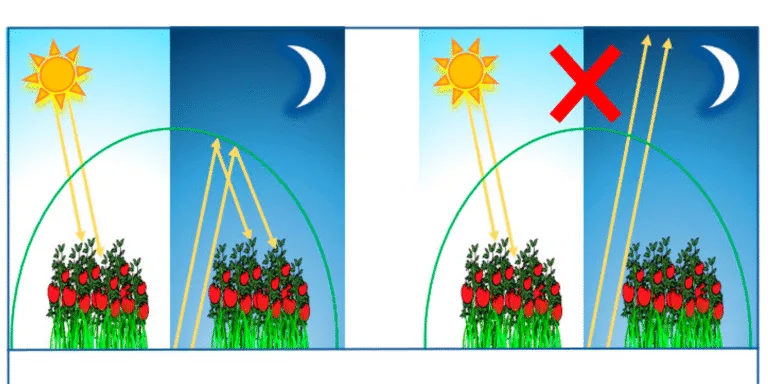 Read more about the article The thermic effect(IR) Of Greenhouse Film