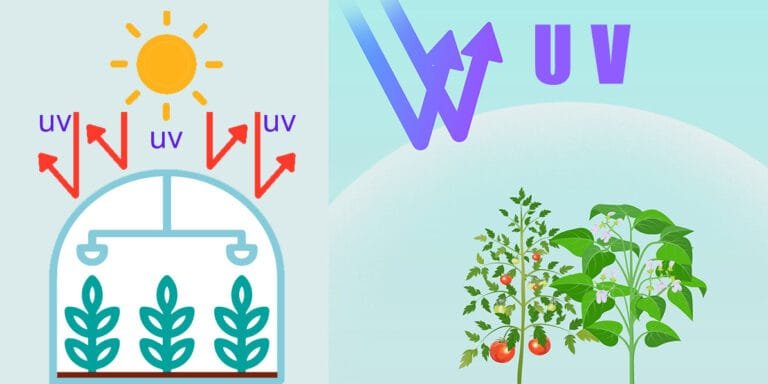 Read more about the article UV Resistant photoselective effects of Greenhouse Films