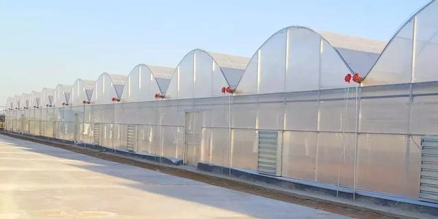 Agricultural Greenhouse Plastic Film Factory Customizable production selection and installation tips