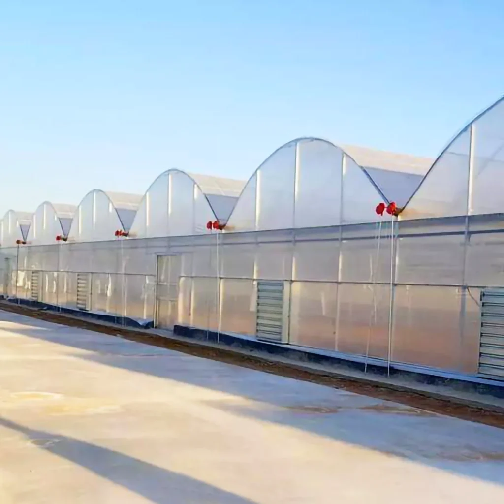 AgraHex Agricultural PE Greenhouse Polythene Plastic Cover Film product Product application scenarios Greenhouse image - agrahex.com